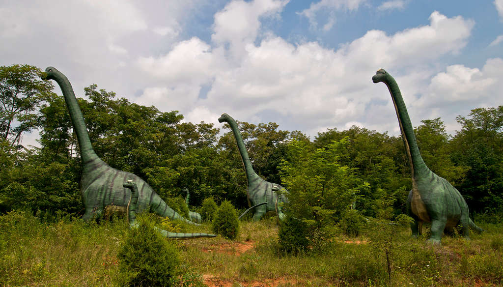 7-ridiculous-statements-made-to-us-by-some-dinosaur-companies