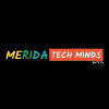 MERIDA TECH MINDS PVT LTD - Jobs For Women